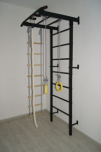 Детский спортивный комплекс  Trainer  Home  R-2 (антик- черный)