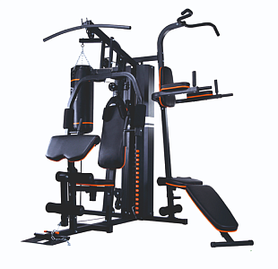 Altezani Gym 001 Силовая станция 